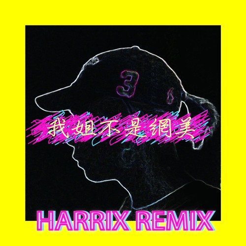 高浩哲-我姐不是網美(Harrix remix)