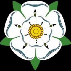 Oldskool Niche - Every day of the week