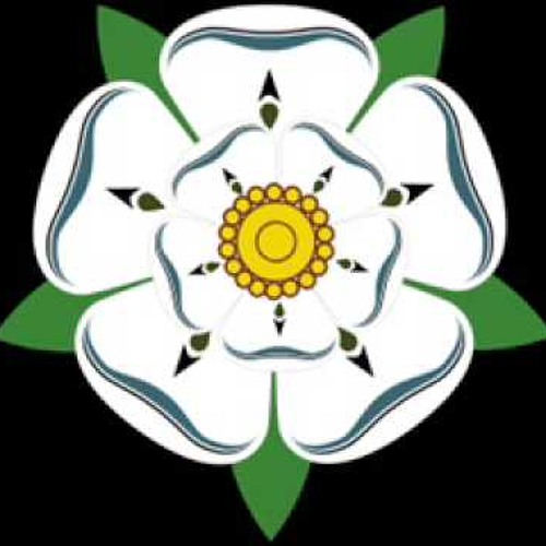 Oldskool Niche - Every day of the week