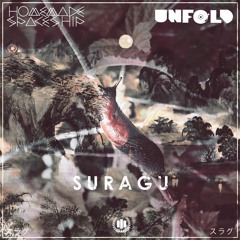 Homemade Spaceship & UNFOLD - Suragu [Single]