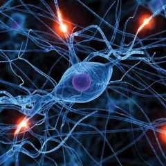 Psychological Performance ( Full Track )