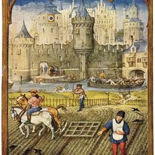 Medieval cause ?¿ not