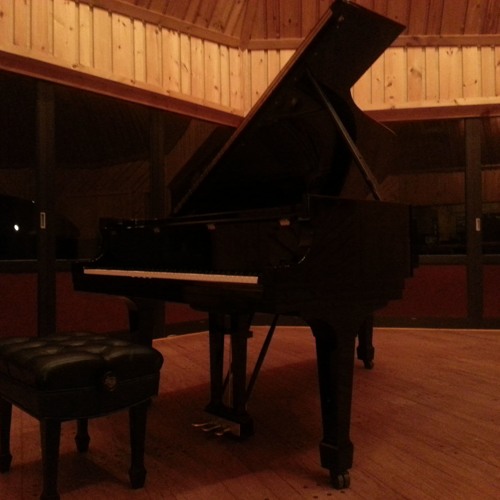 Thiago Pinheiro -  Moon - Steinway Model B