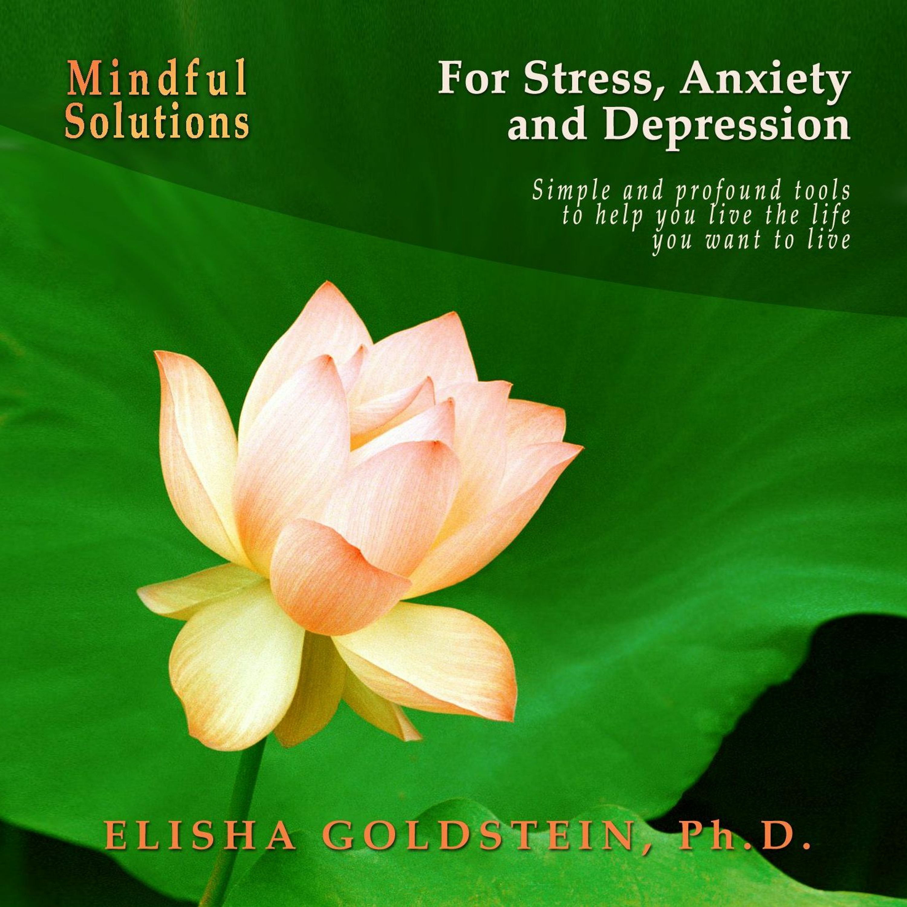 Mindful Solutions for Stress, Anxiety, and Depression, with Elisha Goldstein episode artwork