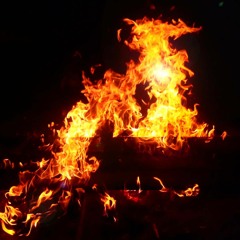 Rec. Check SXB, ZH, BER