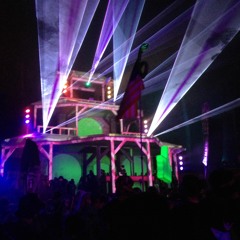 SHAMBHALA 2017 20 YEAR