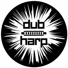 RADiKAL GURU dj set & DUB HARP live harmonica