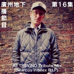 第16集 All TREVINO Tribute Mix (Marcus Intalex R.I.P) 廣州地下廣播節目
