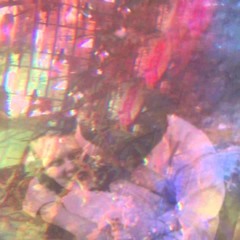TELE/VISIONS - New Flesh
