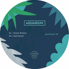 Aquarium aka 外神田deepspace - Rainforest 12" (HAZE001)