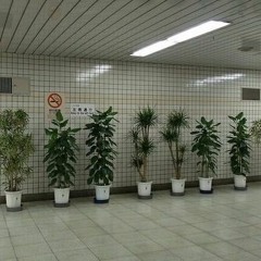 wHo nEeDS fWenDzZ wHEn u hAV mONeYYyY hAhaHA (prod. haruhi)**music vid in desc**