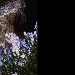 It Says (Soft Limbs Remix Demo)