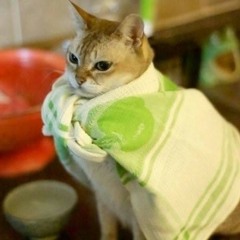 Can't help falling in love (with proper singers)