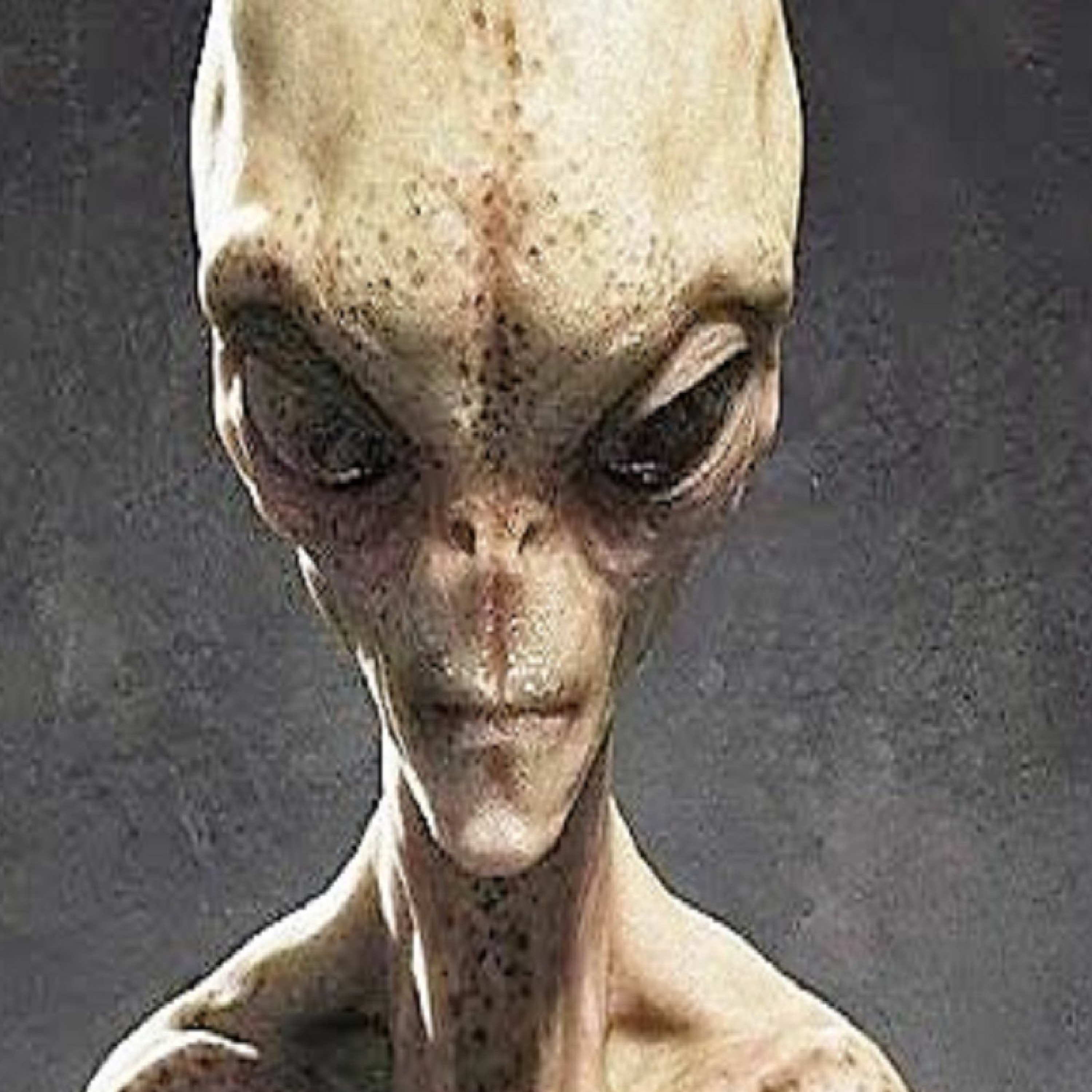 Music 4 Motherships - II EDU Alien Chamber - 2016