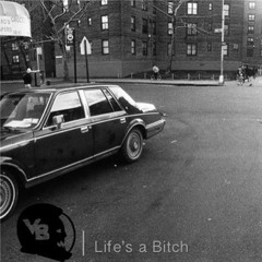 VantaBlack - Life's a Bitch