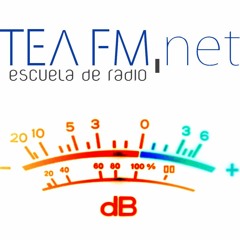 Que es TEA FM