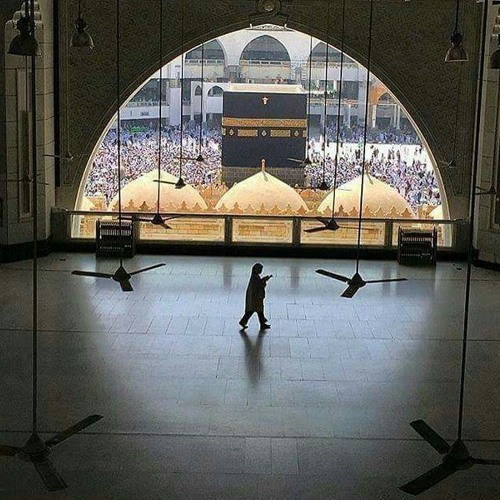 نشيد الطهر (شافي الذبياني) من قناة مكّة