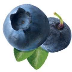 Compote De Myrtille