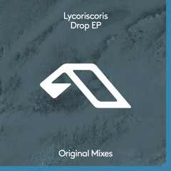 Lycoriscoris - Her