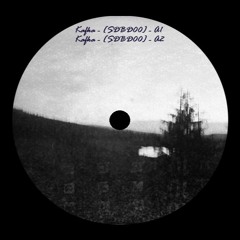 Kafka - [SDBD00] - A2