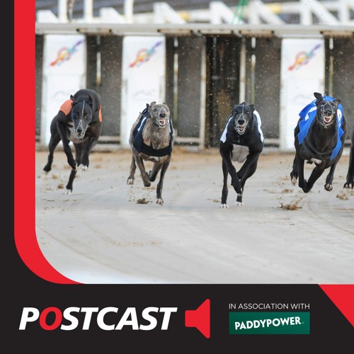 Postcast Greyhound Derby By Racing Post Free Listening On Soundcloud Postcast Greyhound Derby By Racing Post Free Listening On Soundcloud
