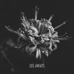 Life Awaits - You