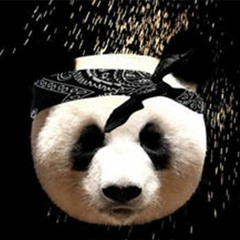 Panda Remix - Freight Train