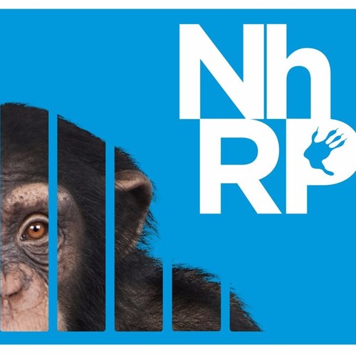 Nonhuman Rights