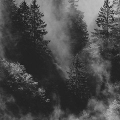 Don - "Real" (Prod.RRAREBEAR)