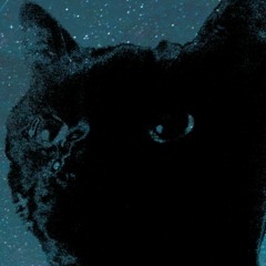 Sneeze Is A Dumbass Cat