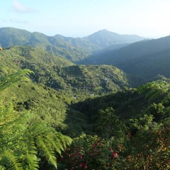 Jr Morgan : Thankful