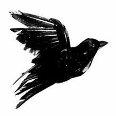 'Black bird' cover (Fat Freddy's Drop / Jordan Rakei)