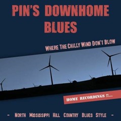 PIN'S DOWNHOME BLUES (live)
