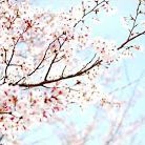 j^p^n - bloom. [] (Only 1st part)