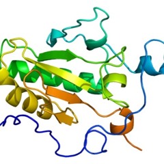 Indian Hedgehog for alto saxophone & electronics