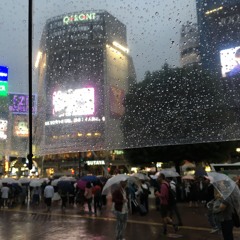 熱帯都市雨