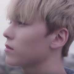 Don't Wanna Cry - Seventeen [Cover]