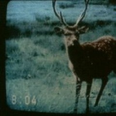 (analog)Warm Nostalgia [Beat-tape for Spring/Summer]