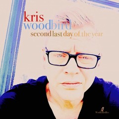 Second Last day of the year- New Single