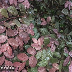 Juice (Prod. Rielye)