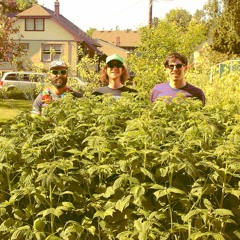 (Just Like) Romeo and Juliet (Hamilton/Gorman)