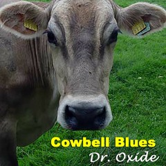 COWBELL BLUES (3 of Hearts with The Monster Pocket Band, Nashville)