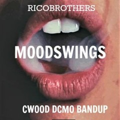 Ricobrothers "Moodswings"