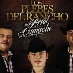 Sera Que Estoy Enamorado-Los Plebes Del Rancho (2017)