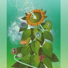 ReasOne - Strait Lines