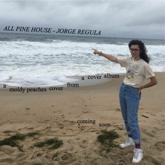 Jorge Regula (Moldy Peaches)