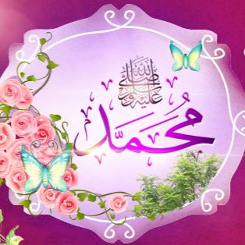 تاريخك شمسٌ .. ~ ، أبو علي