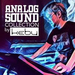 Roland JD-XA - Kebu Analog Collection
