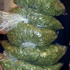 Sensei Fetti - Boofe