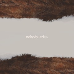 Nobody Cries (for little dead birds)